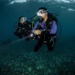 Discover the SSI Open Water Diver Course at Mango Dive & Bungalow