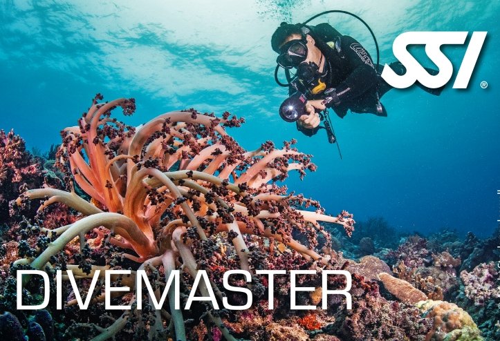 divemaster 723x494 1