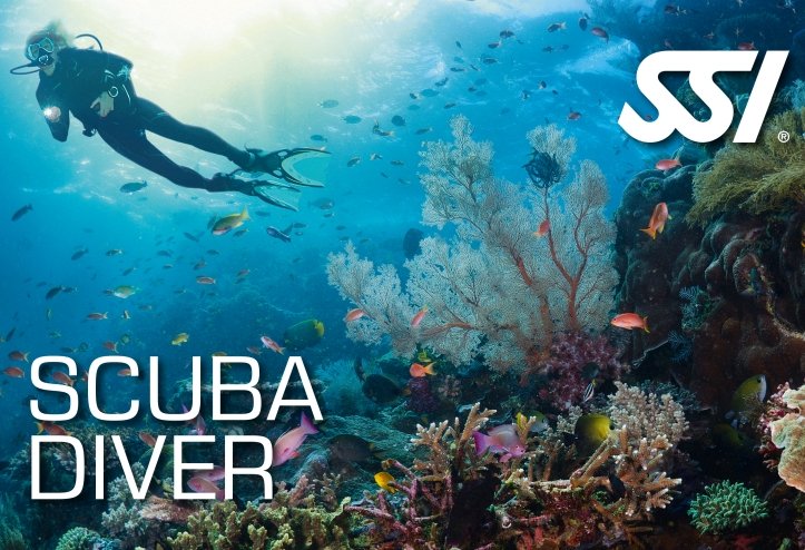 scuba diver 723x494 1